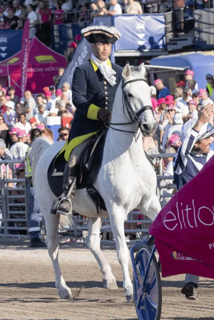 Favory Elitloppet 2024