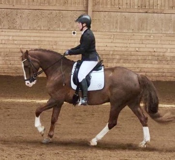 Hermes II