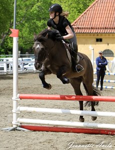 Musse hopp