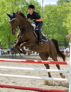 Wiskey hopp
