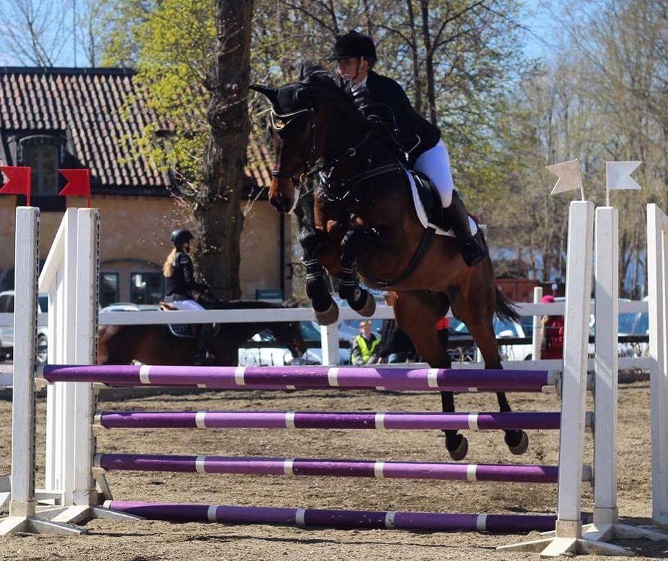 Frasse Hopp