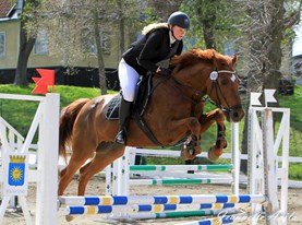 Beamer hopp