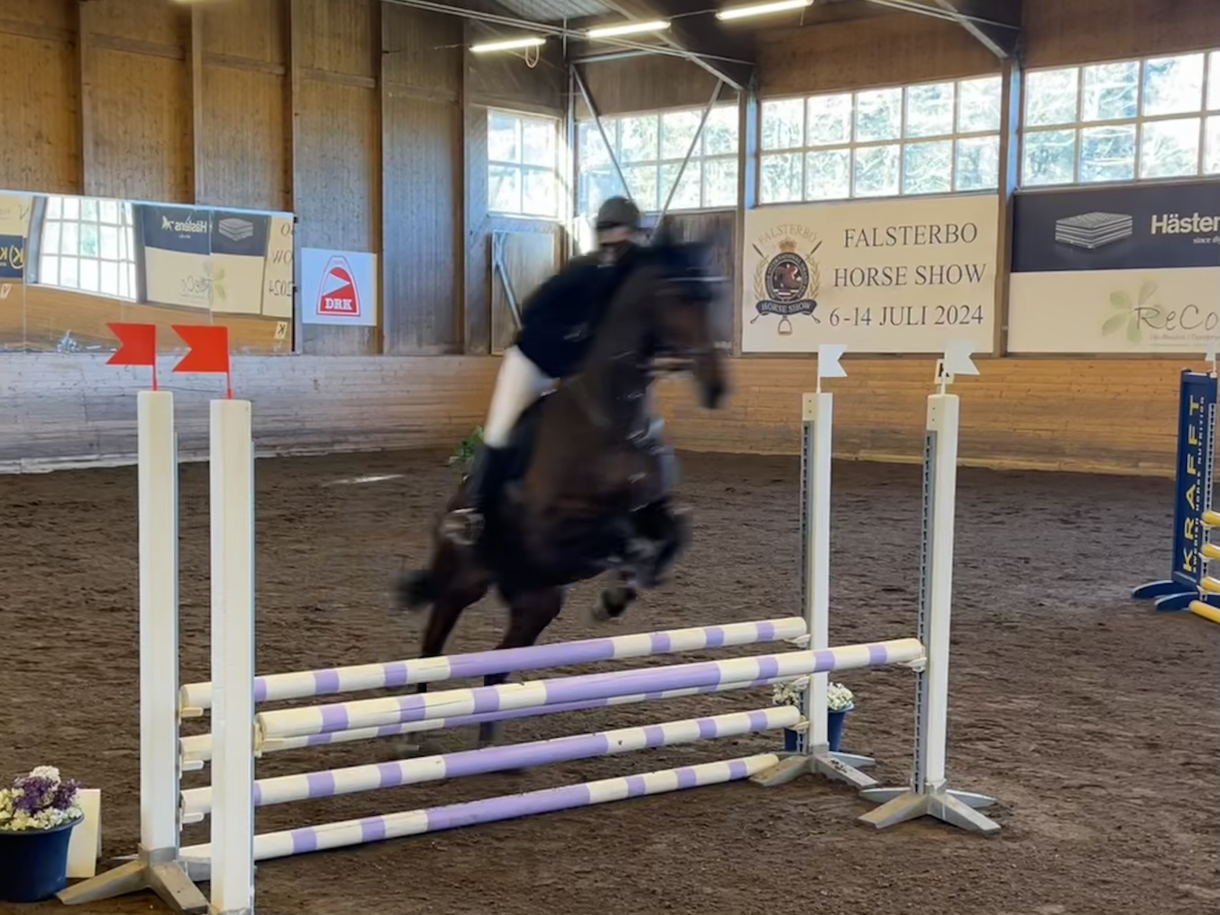 Frasse Hopp
